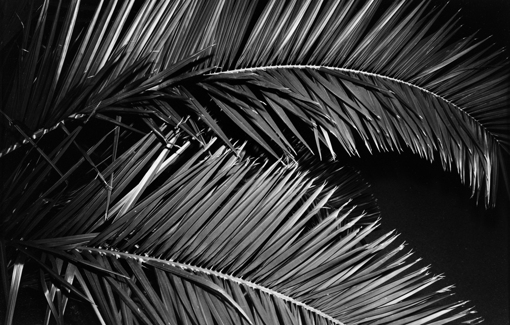 „Im Dunkel der Nacht Licht“ von Robert Zahornicky